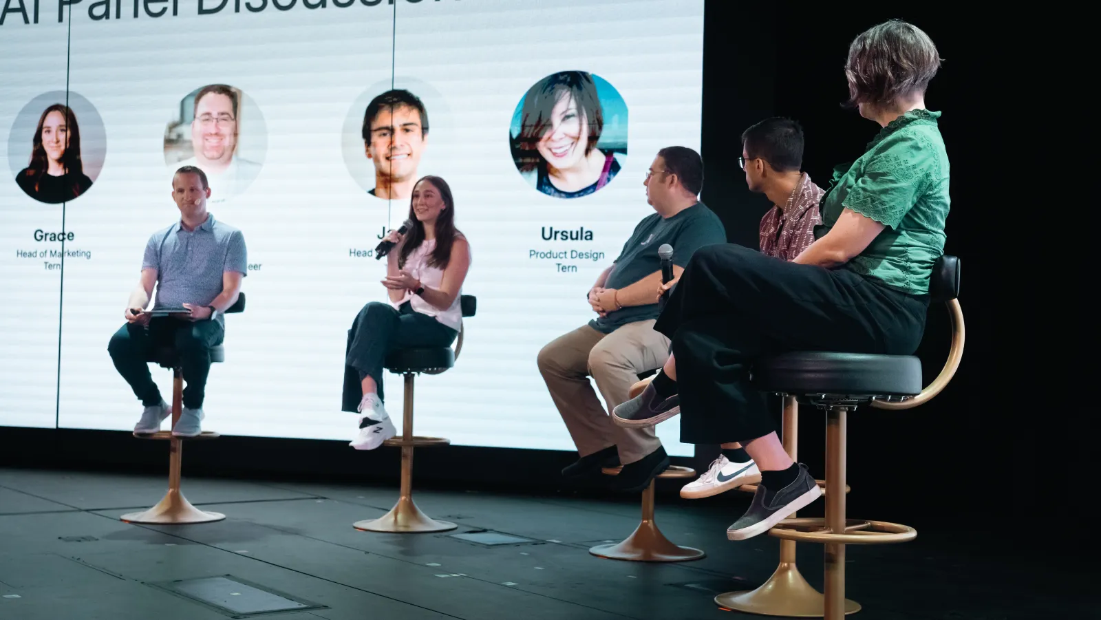 Tern experts on stage